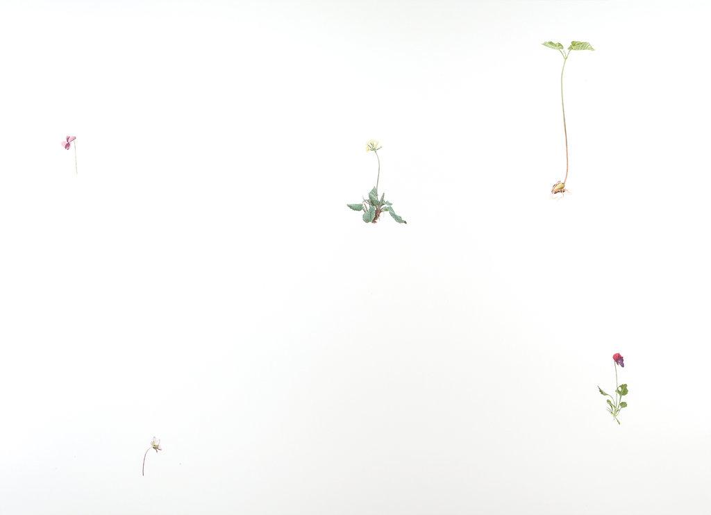 Wallpaper - ALFREDO BARSUGLIA 