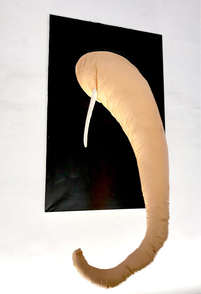 Elefant - ZENITA KOMAD 