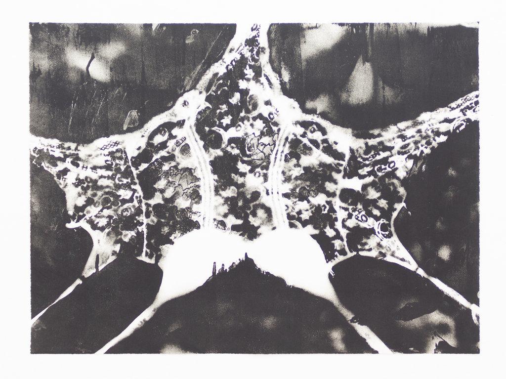 Trampolin - Christian Eisenberger 