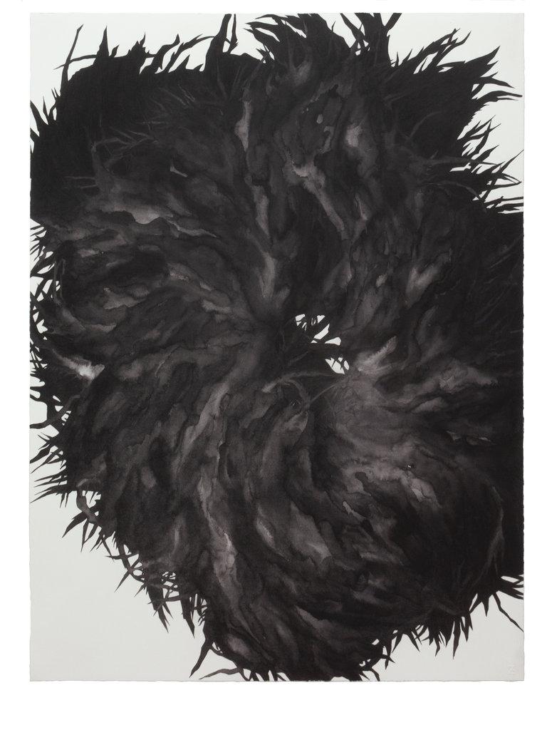 ohne Titel - Adriana Czernin 
