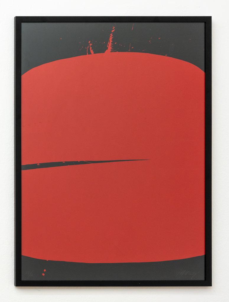 Rot auf Schwarz - MARKUS PRACHENSKY 