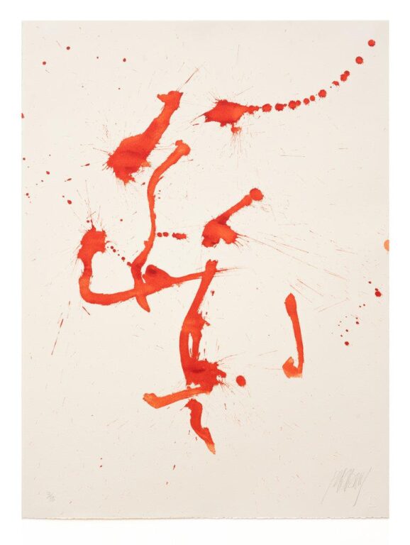 Untitled - MARKUS PRACHENSKY 