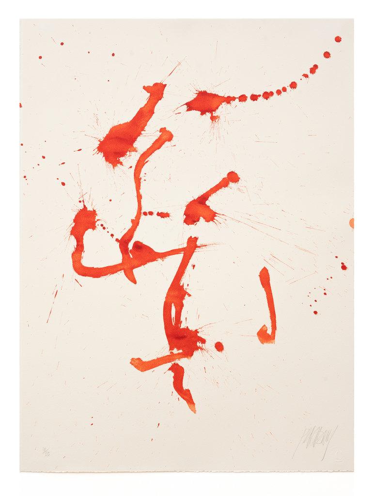Untitled - MARKUS PRACHENSKY 