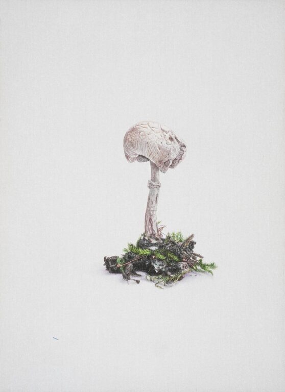 Eisvogel - Alfredo Barsuglia 