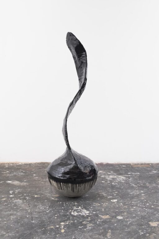 dancing sea weed - Stefan Glettler 