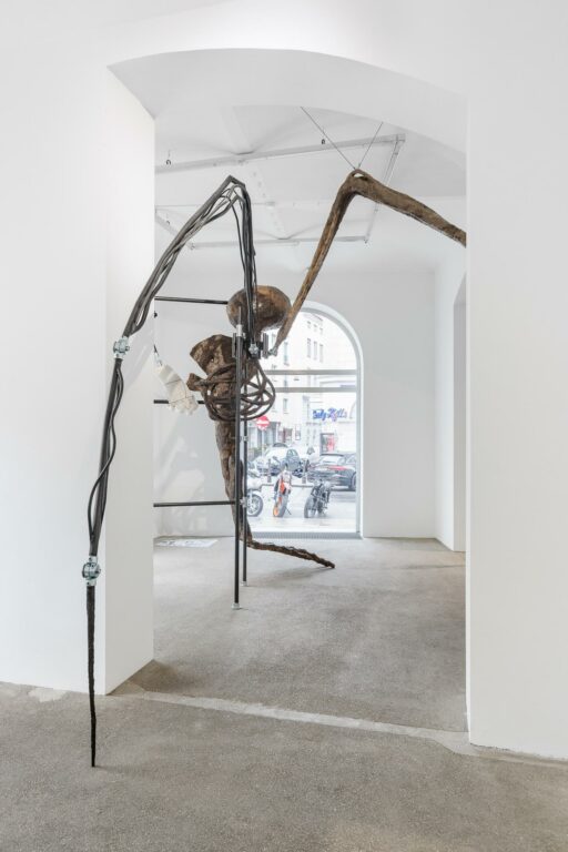 CRAWLER - THOMAS FEUERSTEIN 