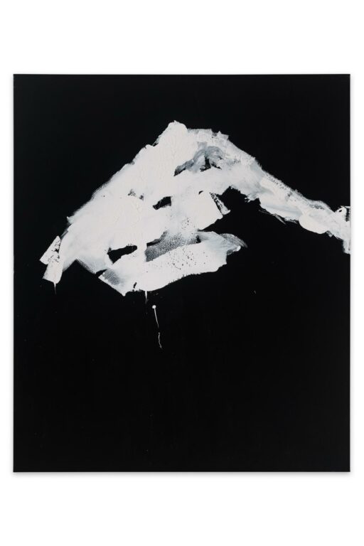 Ohne Titel - HERBERT BRANDL 