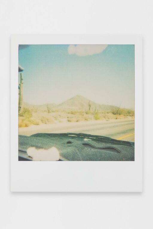 Polaroid-Painting - JOHANNES WOHNSEIFER 