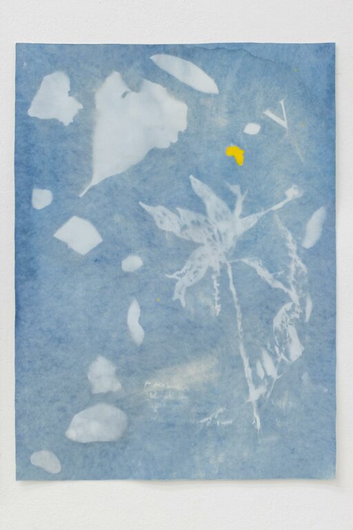 Birth of a Horologist (Cyanotype Print Series) - MONILOLA OLAYEMI ILUPEJU 