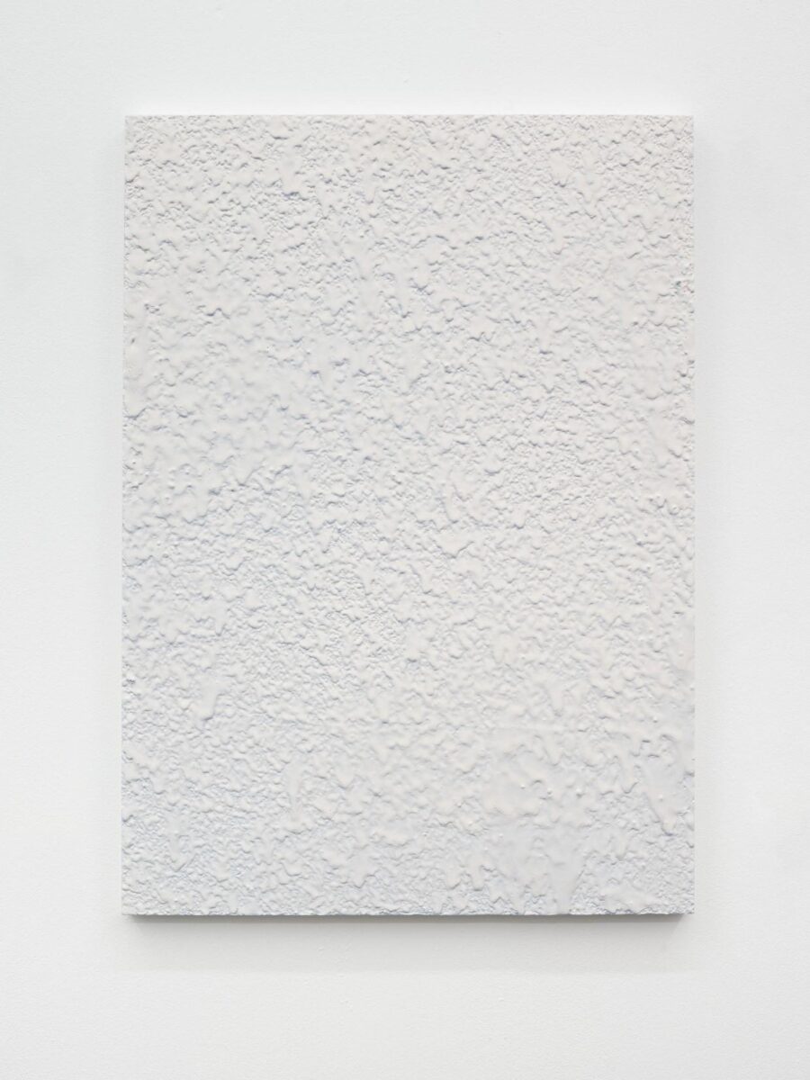 Soluble subjects (trickle pale blue white) - LUKAS THALER 