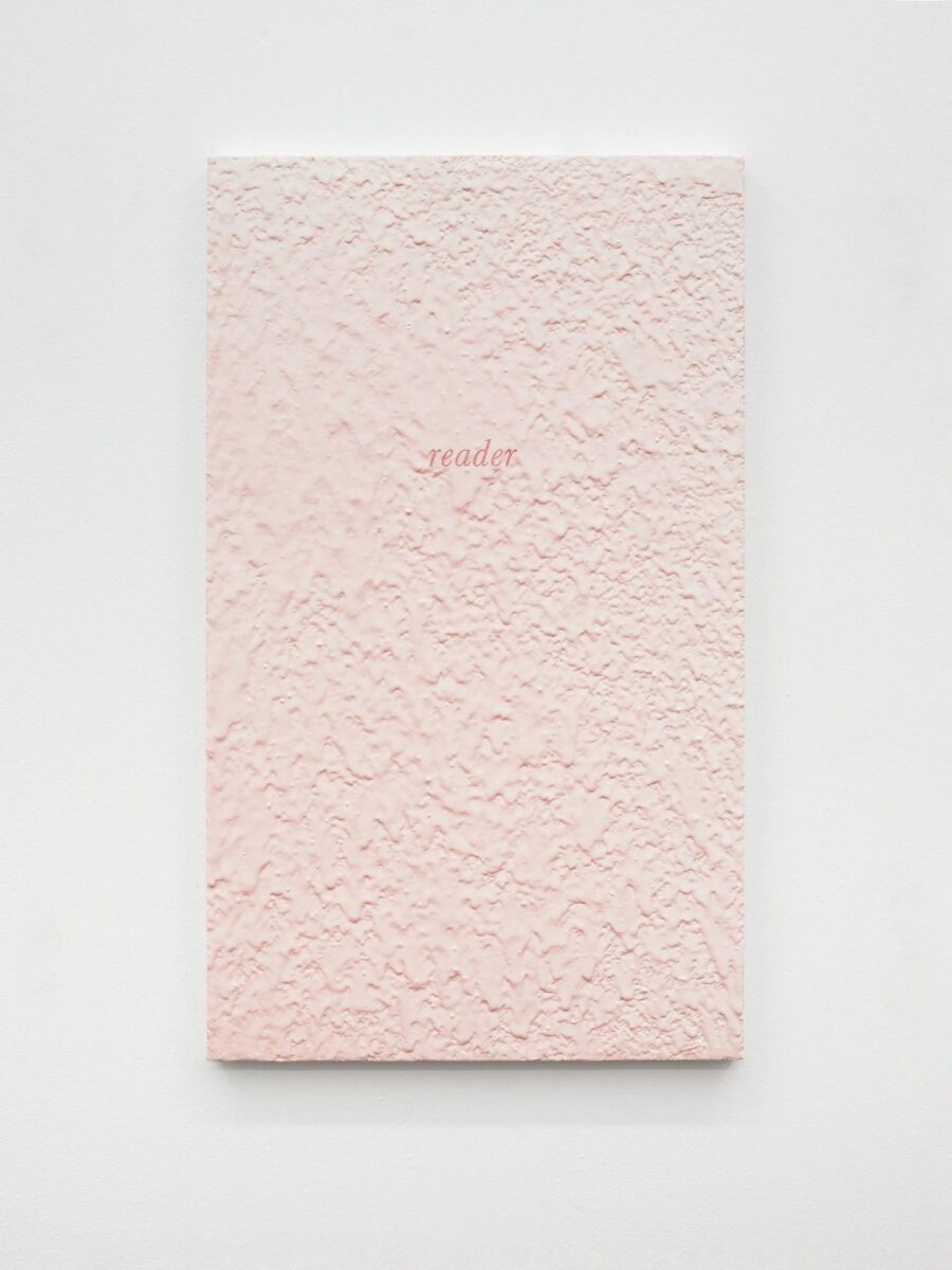 Soluble subjects (reader) - LUKAS THALER 