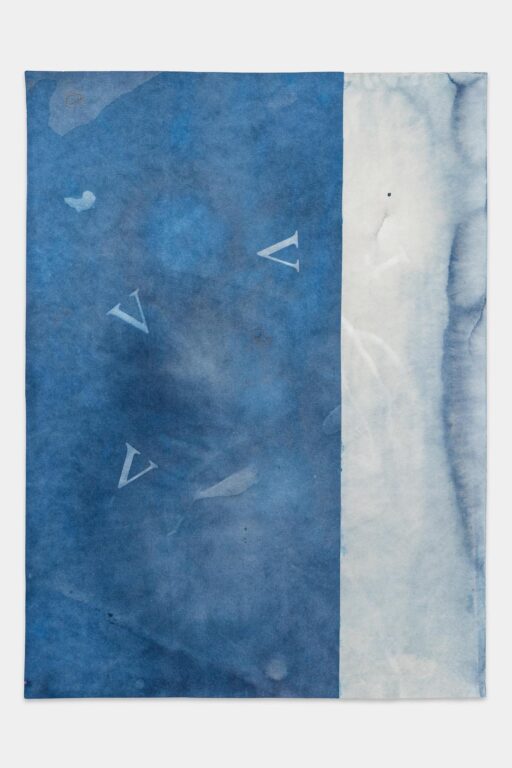 Birth of a Horologist (Cyanotype Print Series) - MONILOLA OLAYEMI ILUPEJU MONILOLA OLAYEMI ILUPEJU - Birth of a Horologist (Cyanotype Print Series)