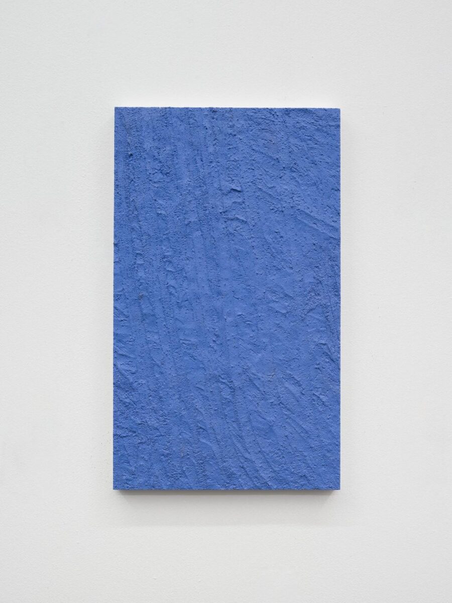 Soluble subjects (touchy blue) - LUKAS THALER 