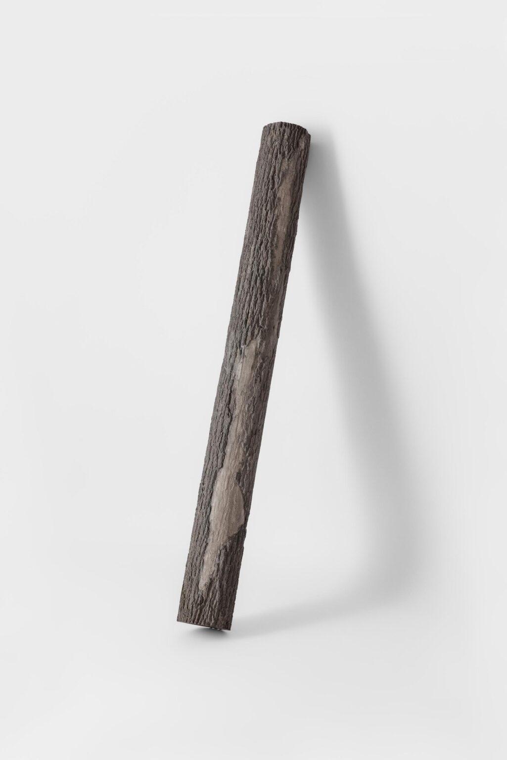 Log IV - LUKAS THALER 