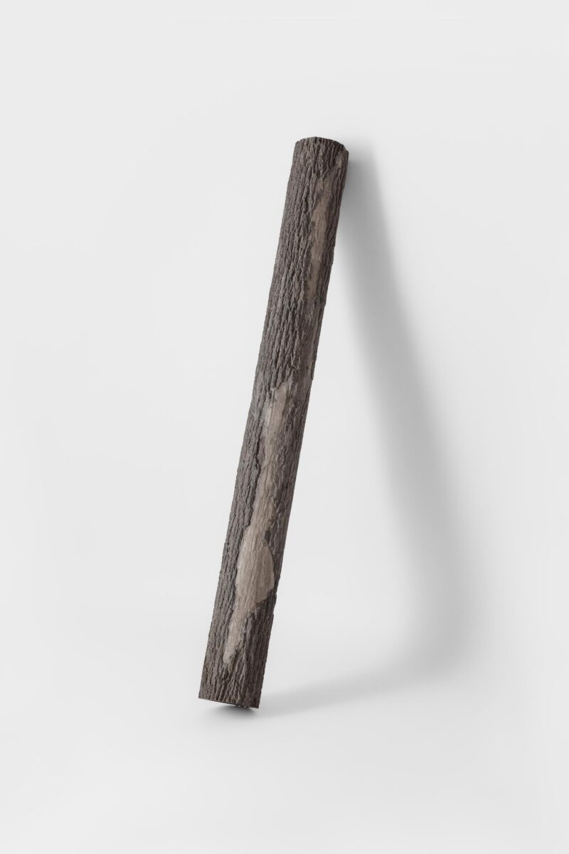 Log IV - LUKAS THALER 