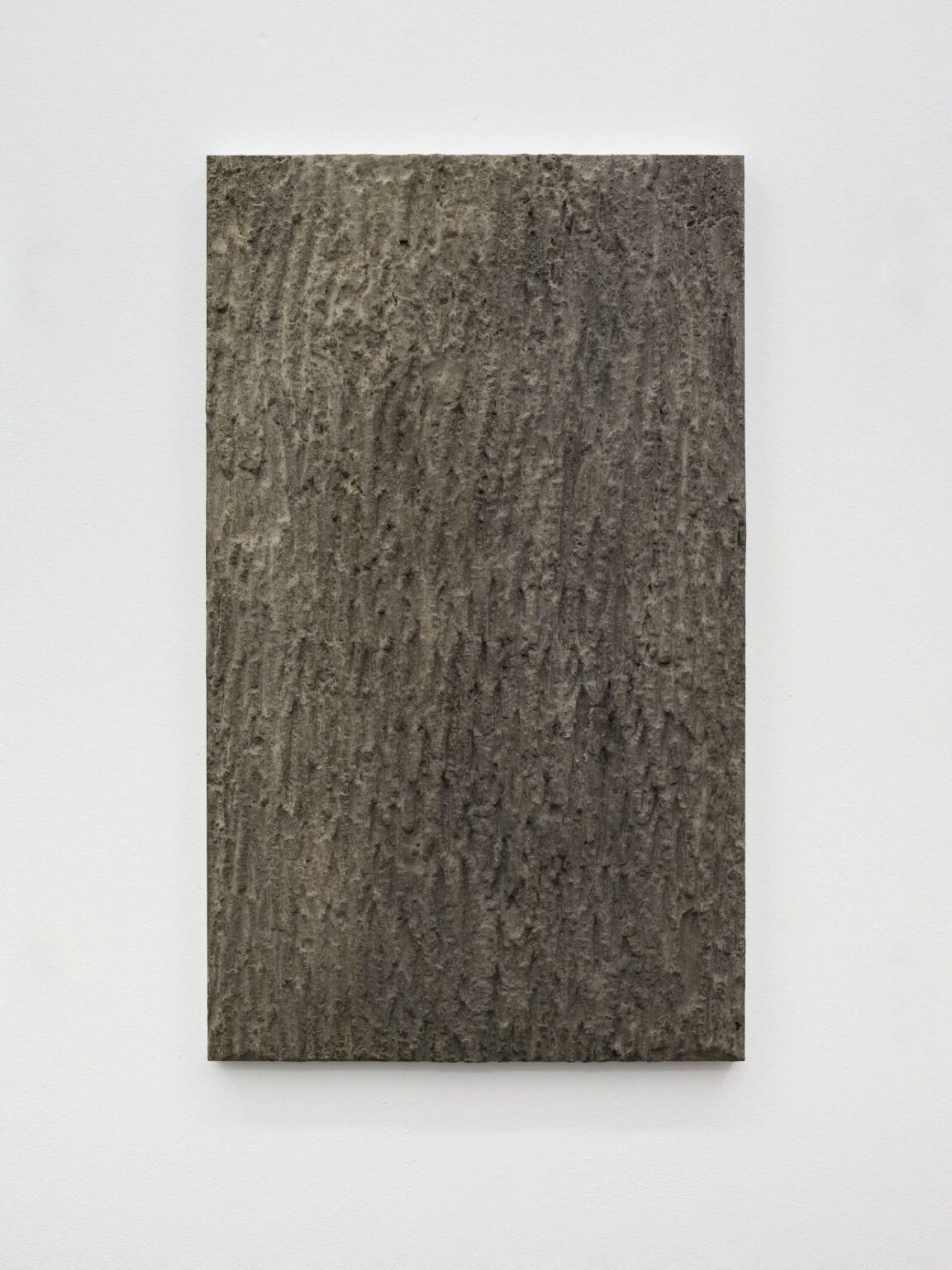Soluble subjects (bark) - LUKAS THALER 