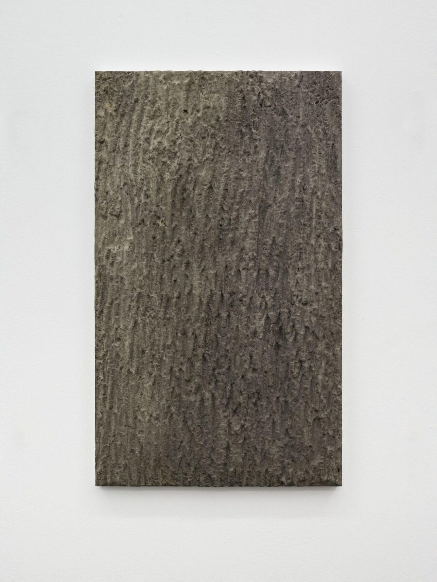 Soluble subjects (bark) - LUKAS THALER 