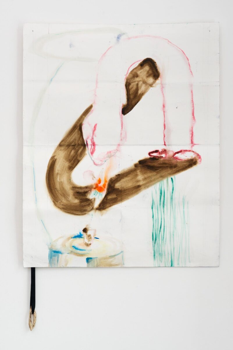 A.K.N.F.: Phallic Flieder - Ari Pilhofer 