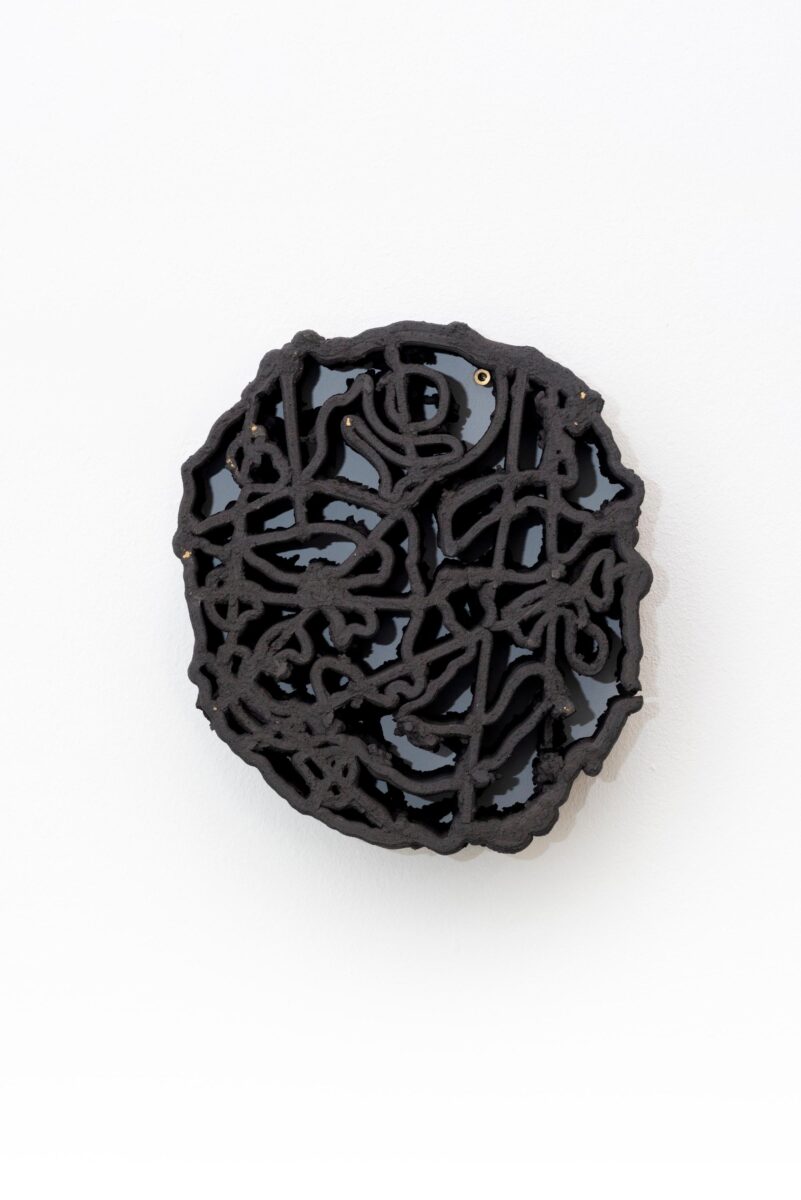 A.K.N.F.: WASP-NEST 03 - Ari Pilhofer 
