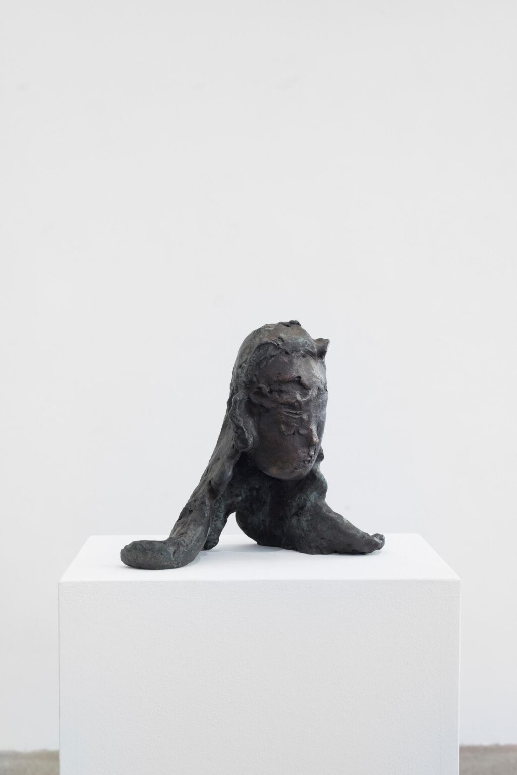 hairhead - LEIKO IKEMURA Photo © Galerie Elisabeth & Klaus Thoman / Marlene Mautner