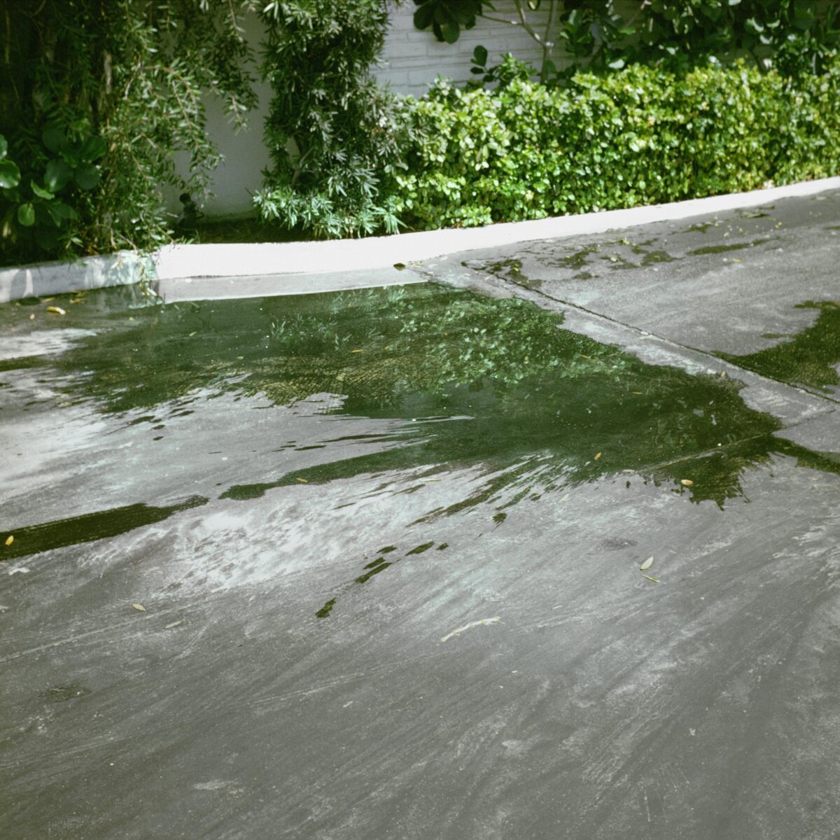 Miami Puddles [Detail] - NANCY HOLT Courtesy of Holt/Smithson Foundation and Sprüth Magers © Holt/Smithson Foundation / Licensed by Artists Rights Society, New York