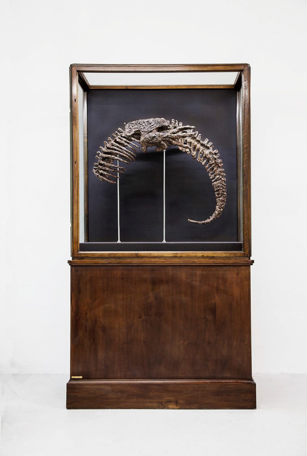 OUROBOROS - THOMAS FEUERSTEIN OUROBOROS