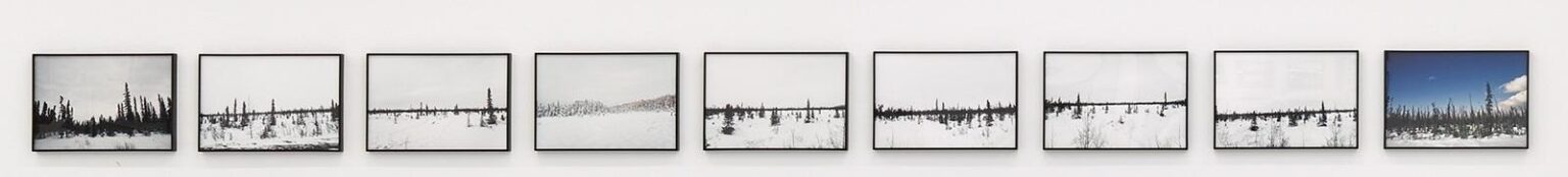 Alaskan Pines - NANCY HOLT © Holt/Smithson Foundation / Licensed by Artists Rights Society, New York, Courtesy of Holt/Smithson Foundation and Sprüth Magers © Holt/Smithson Foundation / Licensed by Artists Rights Society, New York

Photo © Galerie Elisabeth & Klaus Thoman / WEST.Fotostudio