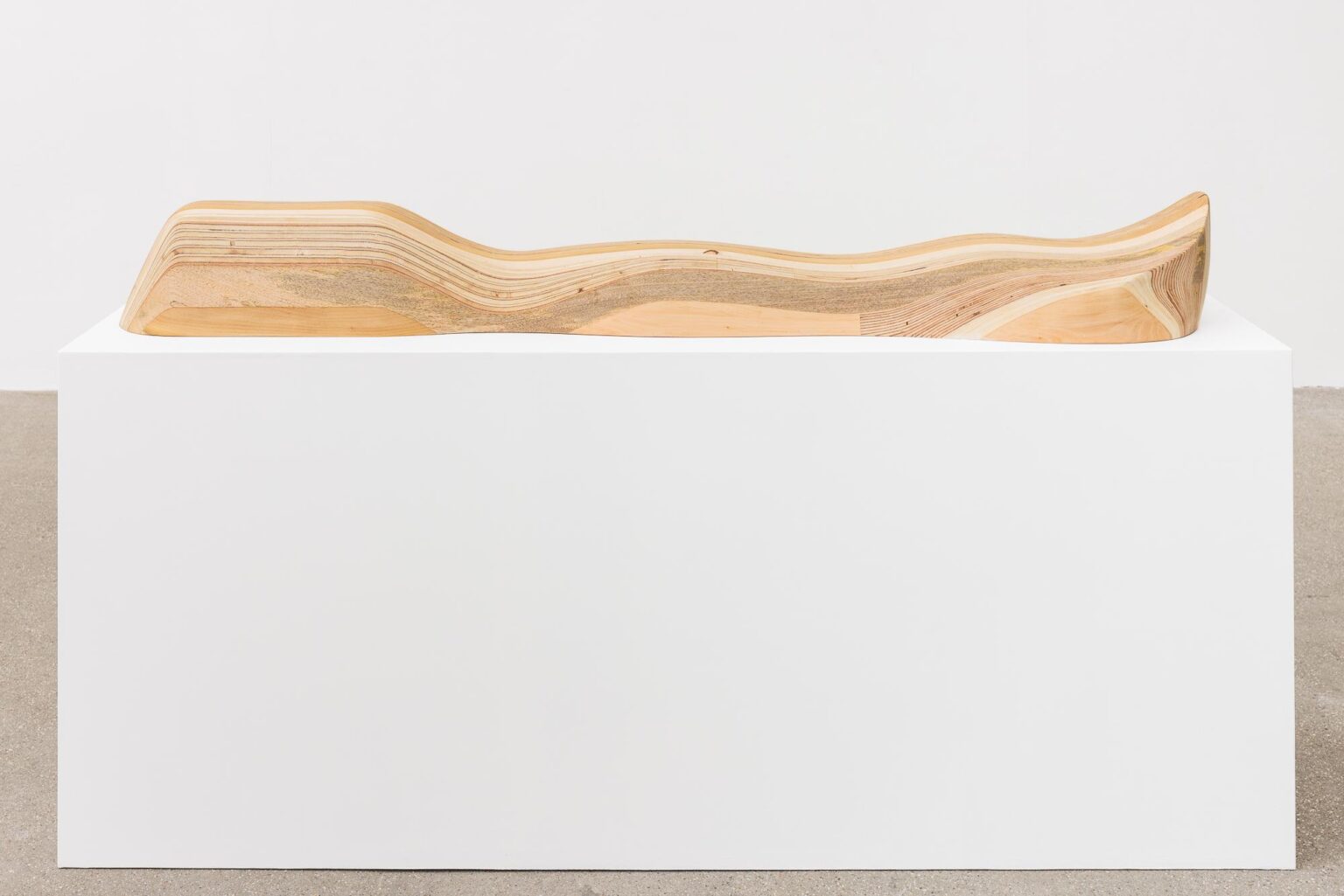 Splint Model - PETER SANDBICHLER 