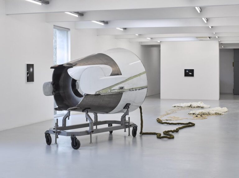 Birds sing at a higher pitch in urban landscapes - MONA SCHULZEK 