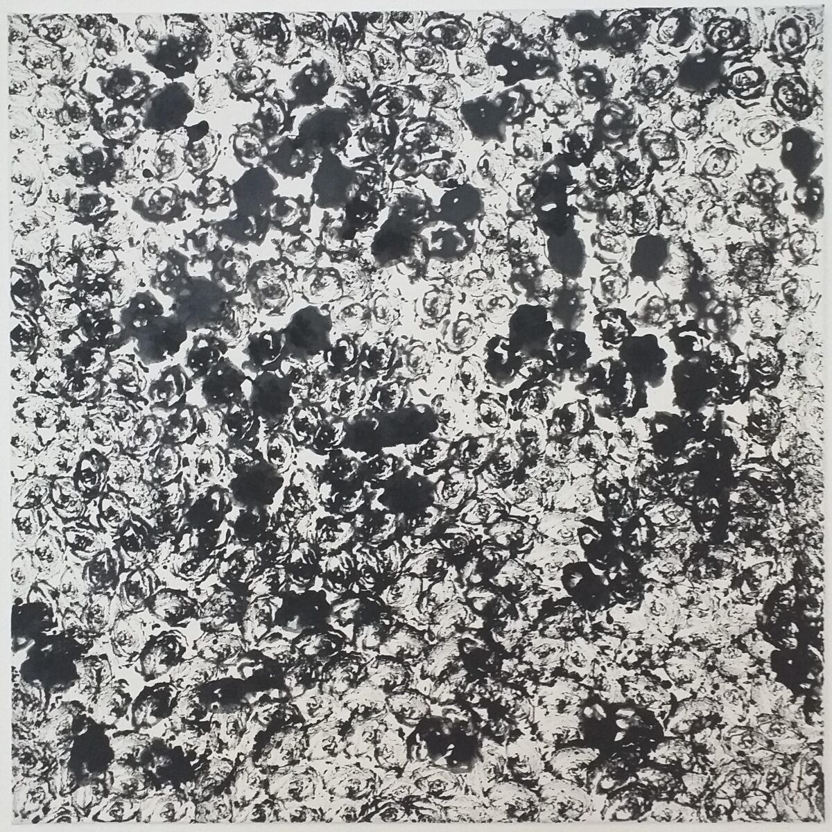 NOTWENDIG UND GEHEIMNISVOLL - ÉVA BODNÁR 