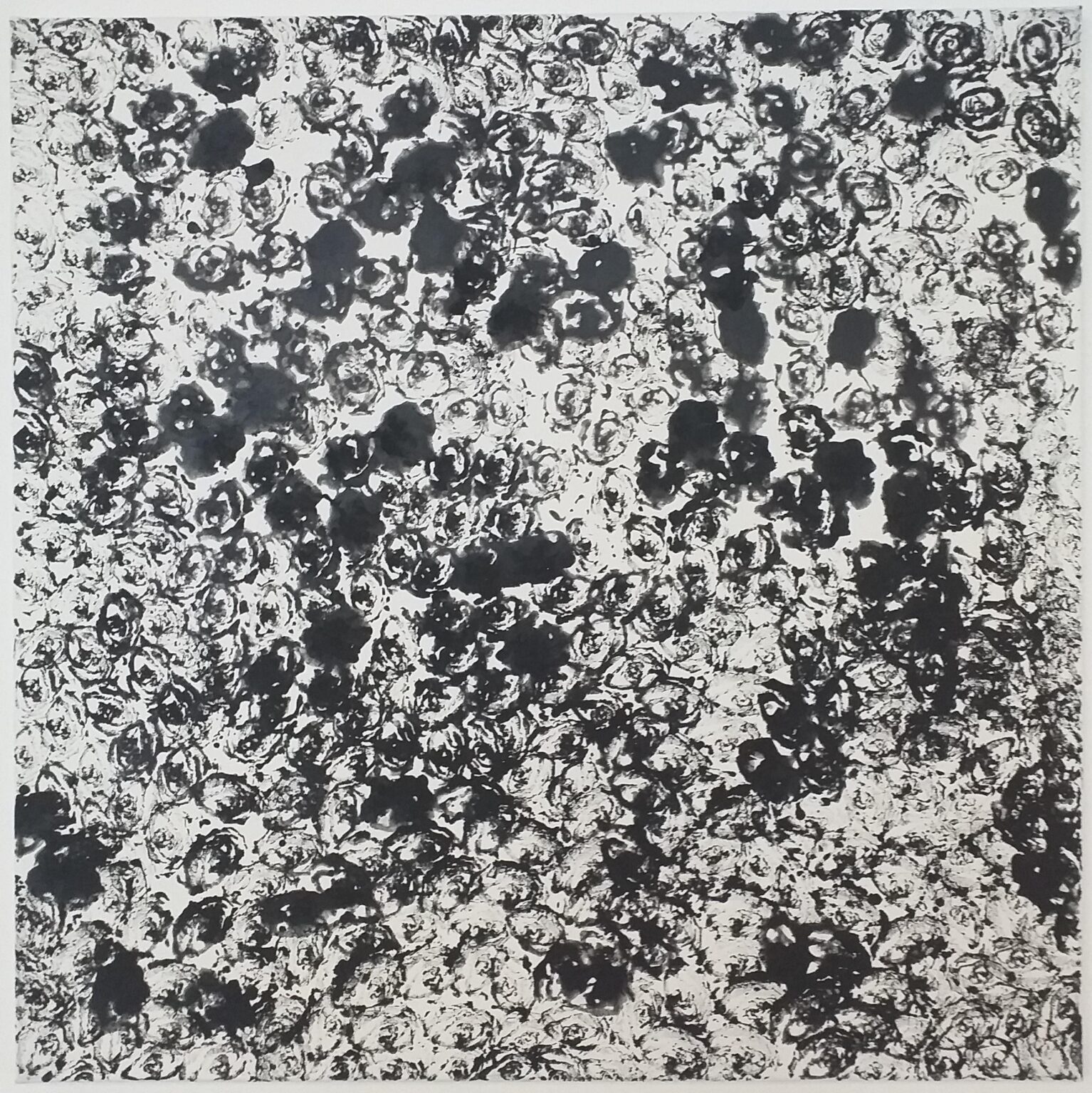 NOTWENDIG UND GEHEIMNISVOLL - &Eacute;VA BODN&Aacute;R 