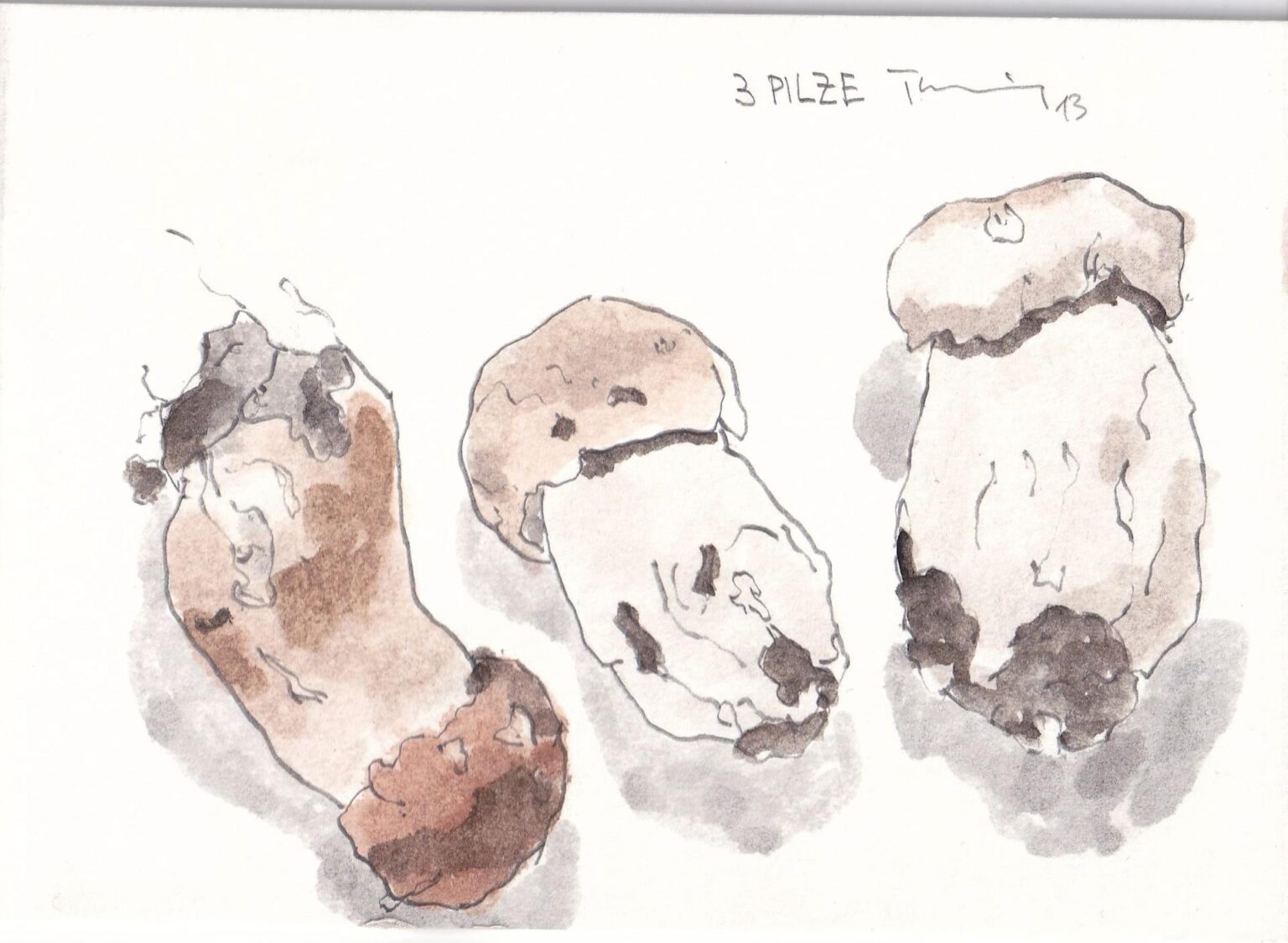 3 Pilze - PAUL THUILE 