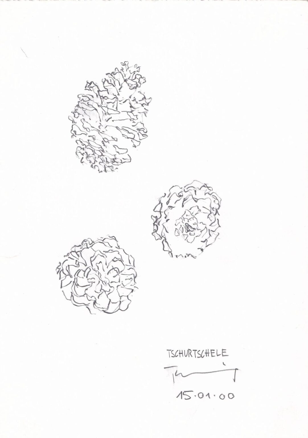 Tschurtschele - PAUL THUILE 