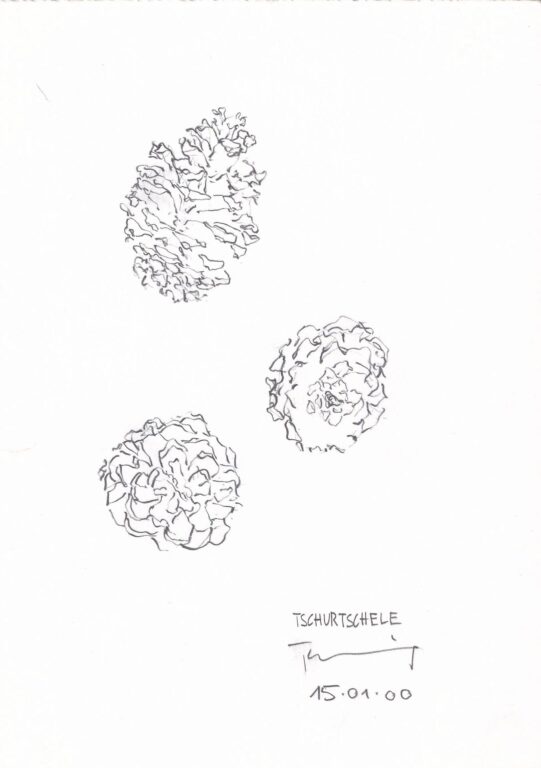 Tschurtschele - PAUL THUILE 