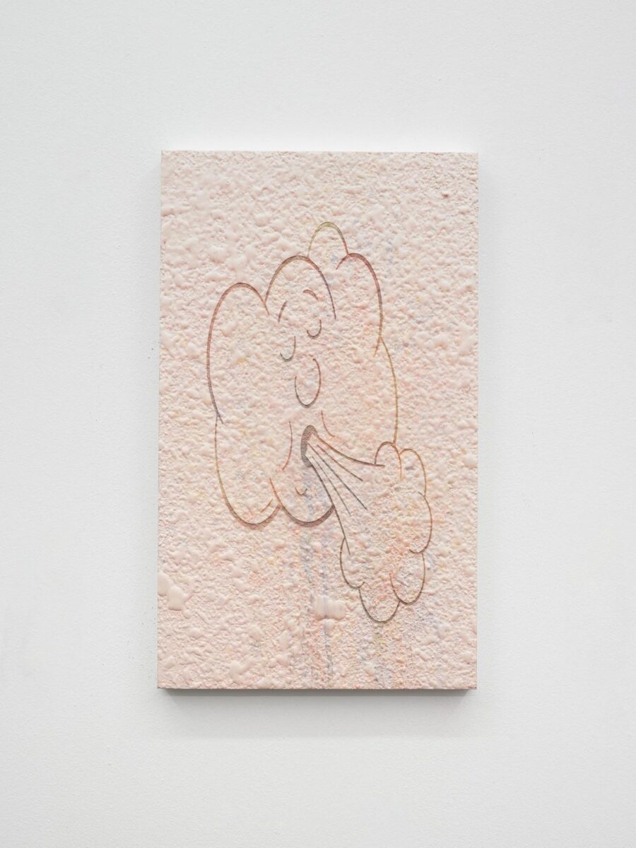 Soluble subjects (Farbspucker) - LUKAS THALER 