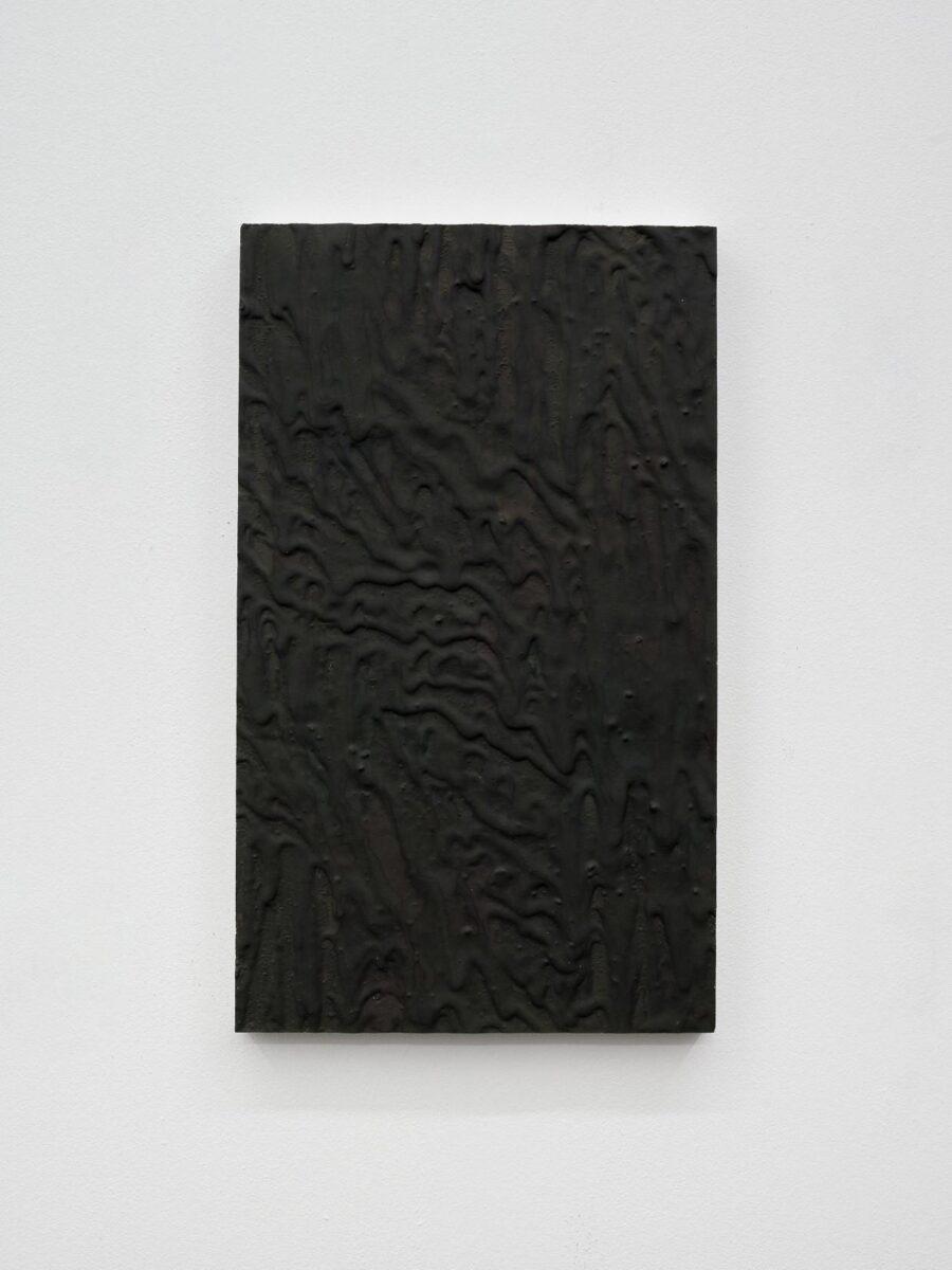 Soluble subjects (ooze black yellow) - LUKAS THALER 