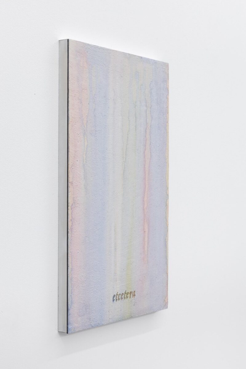 Soluble subjects (etcetera) - LUKAS THALER 