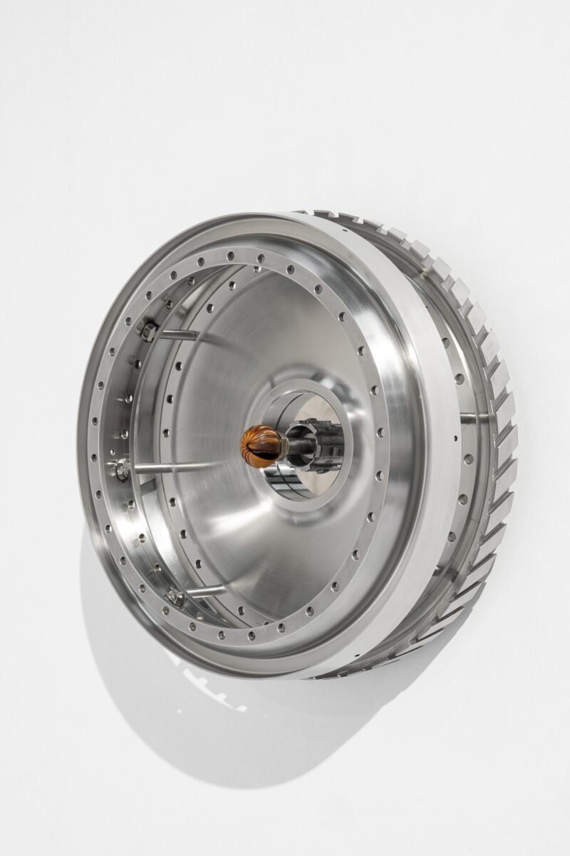 Organic matter III - MONA SCHULZEK 