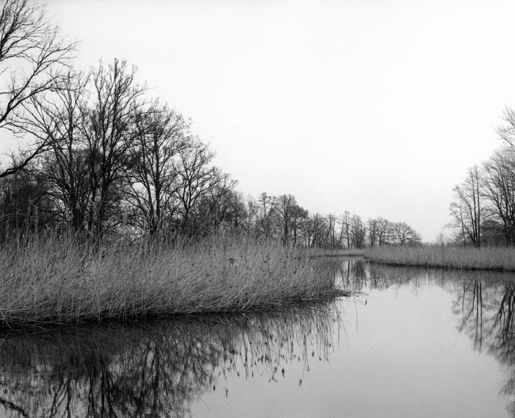 o. T . (aus der Serie „Oderbruch“) - Ingar Krauss 