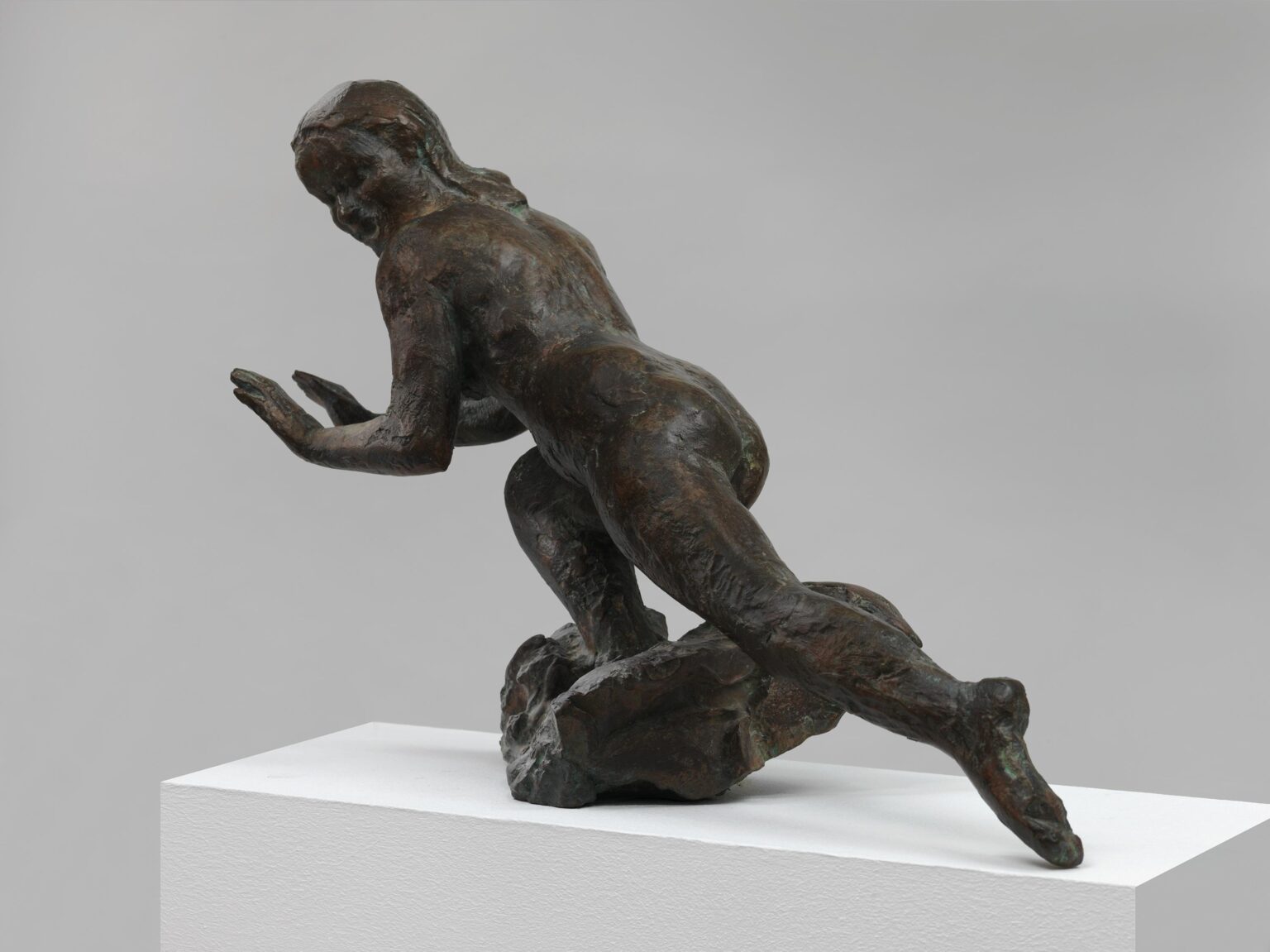 Die Welle - Robert Metzkes 