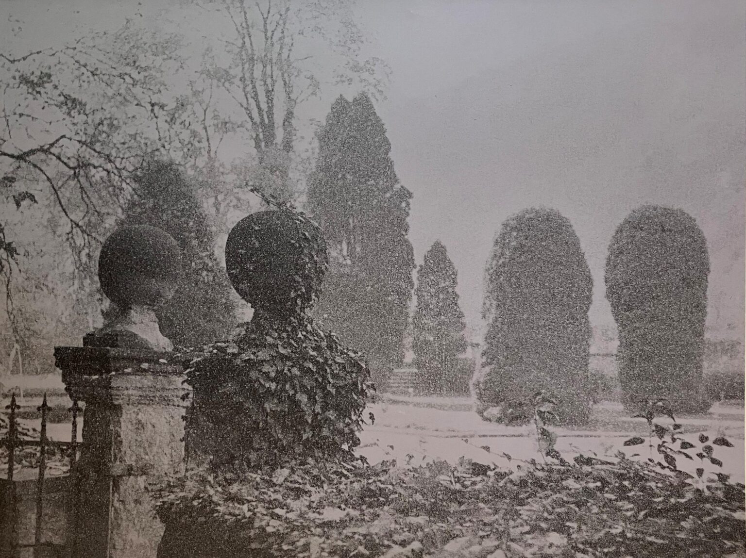 Alter Park - Ulrich Lindner 
