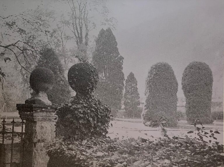 Alter Park - Ulrich Lindner 