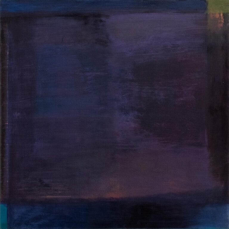 the book i (without u) - Dorothea Schmelzer 