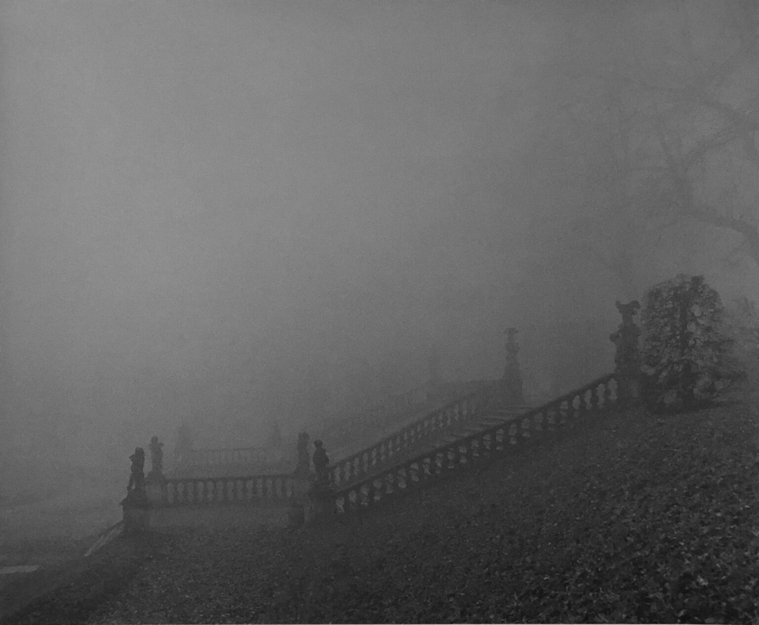 Park-Suite IV - Ulrich Lindner 