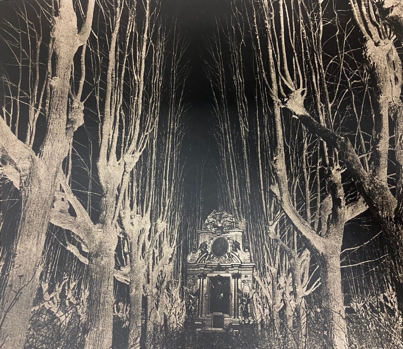 Verzauberter Wald - Ulrich Lindner 