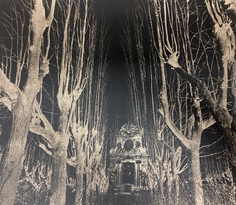 Verzauberter Wald - Ulrich Lindner 