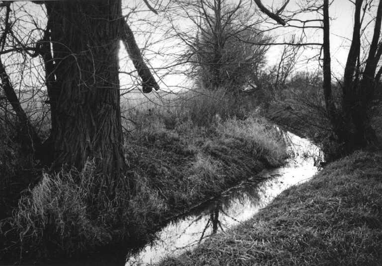 o. T . (aus der Serie „Oderbruch“) - Ingar Krauss 