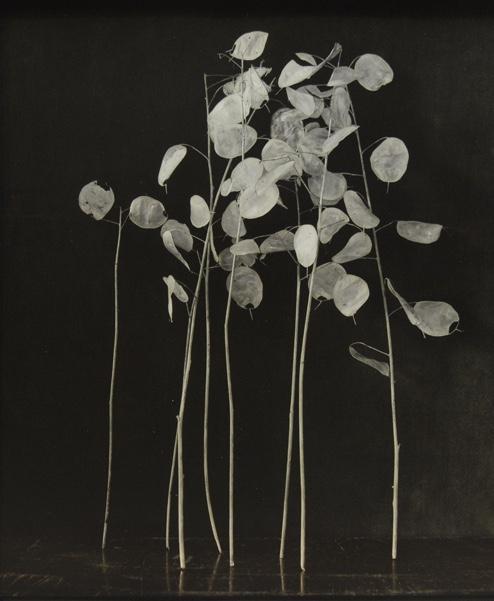 Silbertaler - Ingar Krauss 