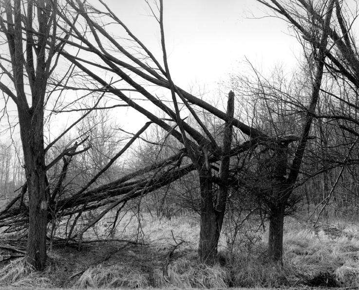 o. T . (aus der Serie „Oderbruch“) - Ingar Krauss 