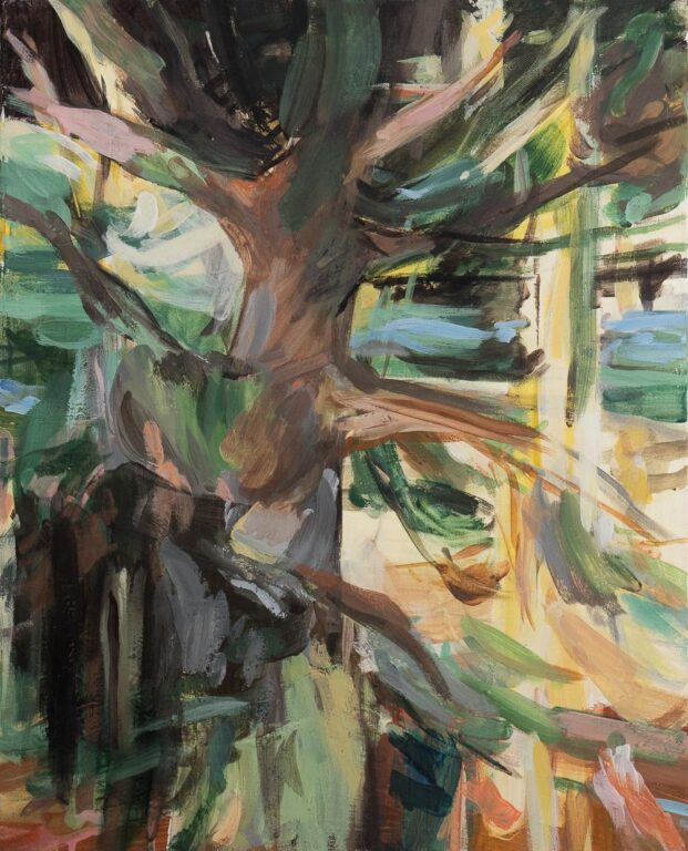 Lichtstrahl, kleine Pinie - Denise Richardt 